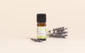 Organic Spike Lavender Essential Oil