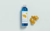 Hydrolat d'Hélichryse italienne de Corse BIO
