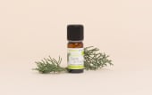 Organic Provençal Cypress Essential Oil