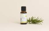 Olio essenziale di Rosmarino cineolo BIO