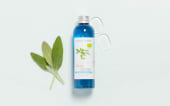 Hydrolat de Sauge officinale BIO