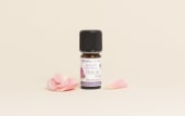 Absolue de Rose de Damas