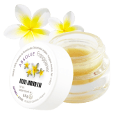 Assoluta di fiori di Frangipani