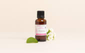 Actif Phyto'liss