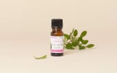 Actif Acide salicylique végétal