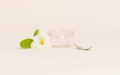 Vasetto in PET trasparente BASIC 100 ml - senza tappo