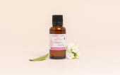 Plant-Based Collagen Active Ingredient