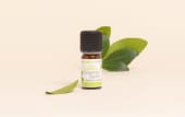 Huile essentielle Gingembre papillon