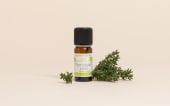 Huile essentielle Thym à linalol BIO
