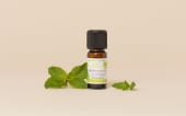 Organic Provençal Peppermint Essential Oil