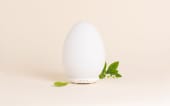 Diffuseur humidificateur Maia