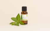 Olio essenziale di Menta piperita della Provenza BIO