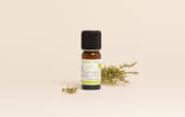 Organic Thujanol Thyme Essential Oil