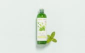 Gel doccia Tè verde e Menta BIO