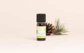 Huile essentielle Pin sylvestre BIO