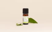 Olio essenziale Cisto ladanifero BIO