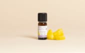 Fragranza naturale Ananas delle isole