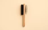 Brosse pour chien et chat