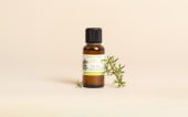 Huile essentielle Tea tree (Arbre à Thé)