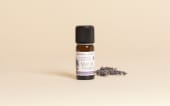 Fragrance naturelle Musc de Provence