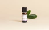 Fragrance naturelle Mysore