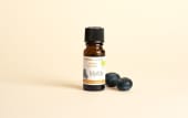 Aroma alimentare naturale di Mirtillo BIO
