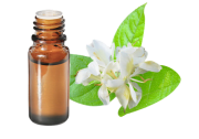 Huile essentielle Gingembre papillon