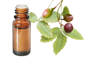 Olio essenziale di bacche di Linaloe
