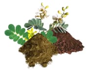 poudres-plantes-actifves