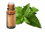 Olio essenziale di Menta piperita BIO