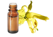 Huile essentielle Ylang-Ylang complète BIO