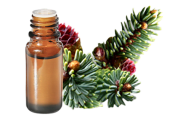 Huile essentielle Epinette noire BIO 