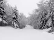 1101045_winter_scenes_3