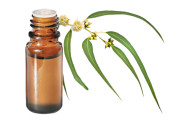 Huile essentielle Cajeput BIO