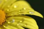 554170_droplets