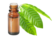 Huile essentielle Katrafay BIO