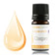 catalogue_conservateurs-antioxydants_cosgard_5.jpg