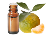 Huile essentielle Mandarine verte BIO 