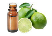Olio essenziale di Lime BIO