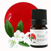 Colorant Végétal Rouge grenadine