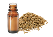 Huile essentielle Cumin BIO