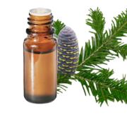 Huile essentielle Sapin de Sibérie