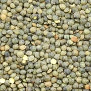 Lentilles vertes