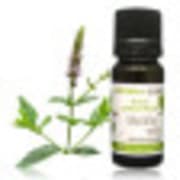 catalogue_he_menthe-verte_bio.jpg