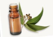 Huile essentielle Eucalyptus globulus BIO