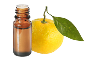 Huile essentielle Mandarine jaune