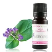 catalogue_actifs-cosmetiques_melanoregul