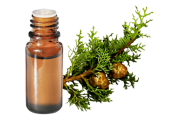  Huile essentielle Cyprès de Provence BIO