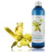 catalogue_hy_ylang-ylang.jpg
