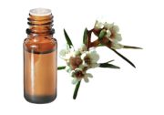 Huile essentielle Fragonia